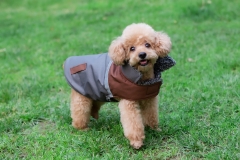 RAIKOU Hundwinterjacke Mäntel Hunde Recovery-Suit  Haustierkleidung  Schutz  Pullover  Hundewärmeweste  mit  Reflexstreifen  warm  dick  Plüsch